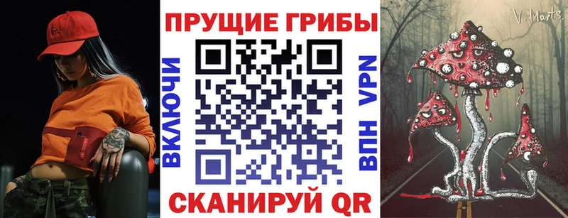 Купить где Афипский Псилоцибиновые грибы Psilocybine cubensis